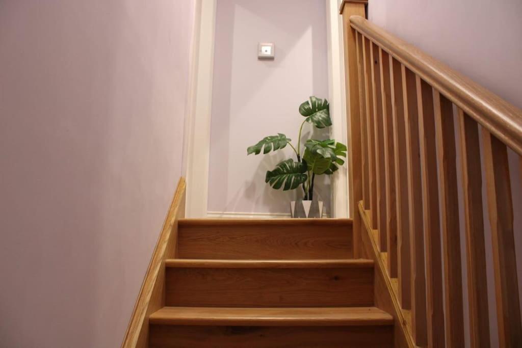 5 Star Apartment Londra Exterior foto